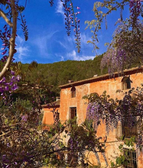 Villa Catalina Aka Villa Almanita Sant Pere De Ribes Esterno foto